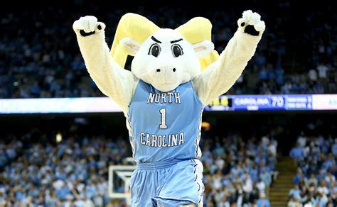 The Psychological Appeal of Mascots: Why We Love UNC's Furry Friends